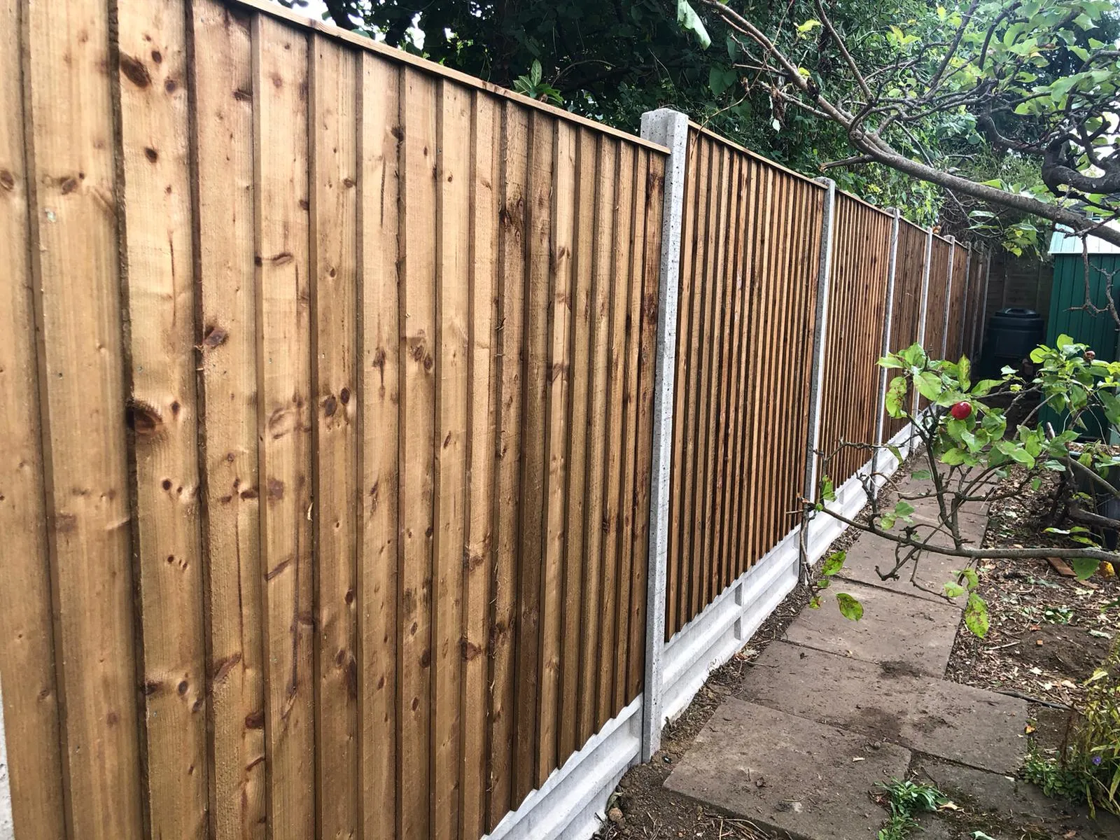 A wooden fence with vertical panels set in concrete posts lines a garden path. The path, made of stone slabs, is bordered by trees and plants, including a small tree with red fruit. The sky is overcast, suggesting an early evening or cloudy day.