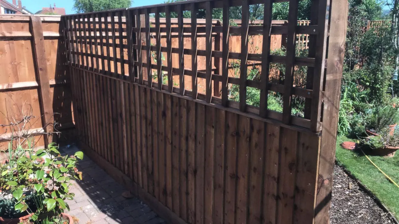 A wooden garden fence with a trellis top separates two outdoor spaces. The area is sunny, with plants and trees visible in the background, and the ground is a mix of paving stones and soil.