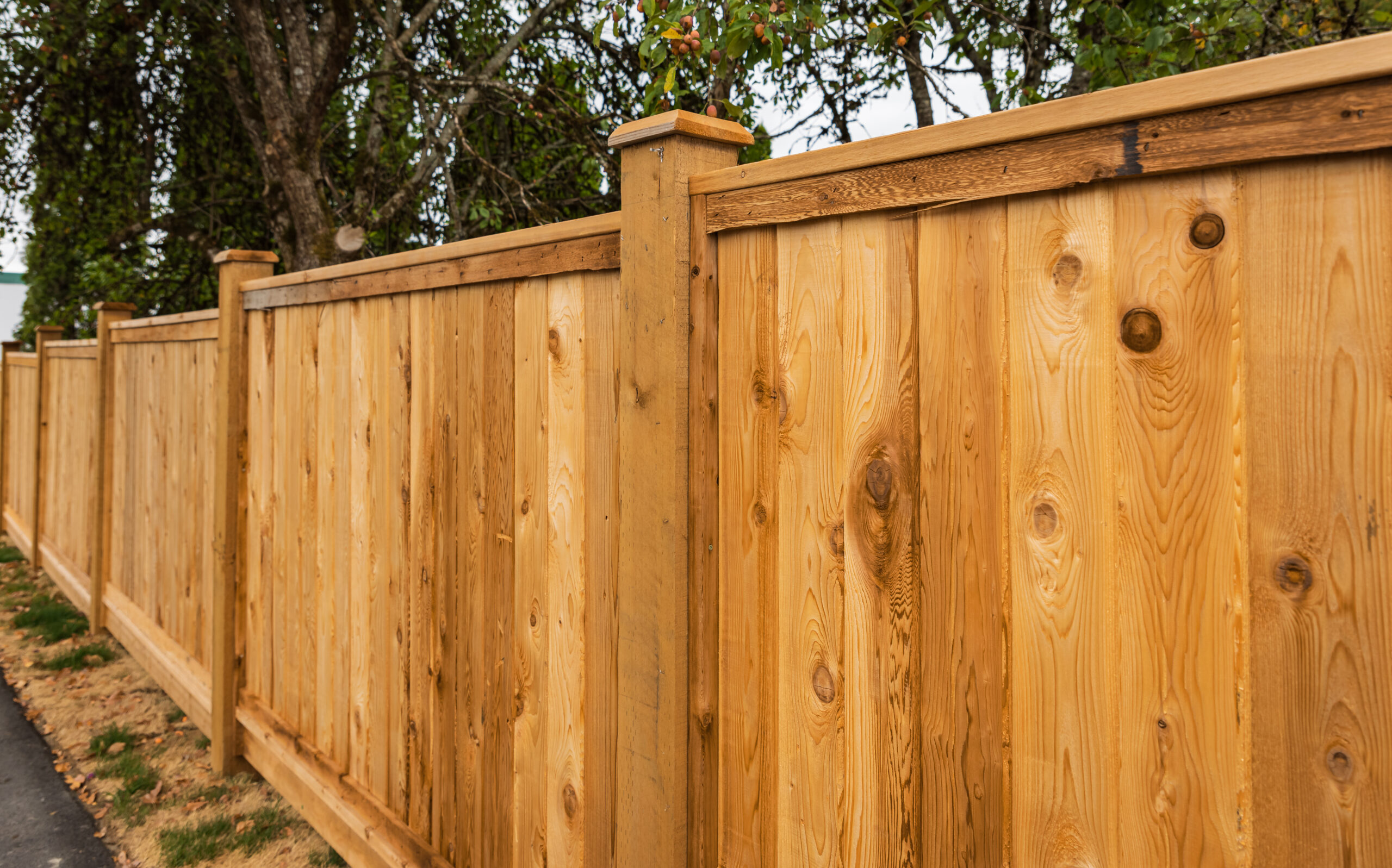 A close-up view of a wooden privacy fence with vertical planks and sturdy posts, set outdoors near trees and grass on a sunny day.