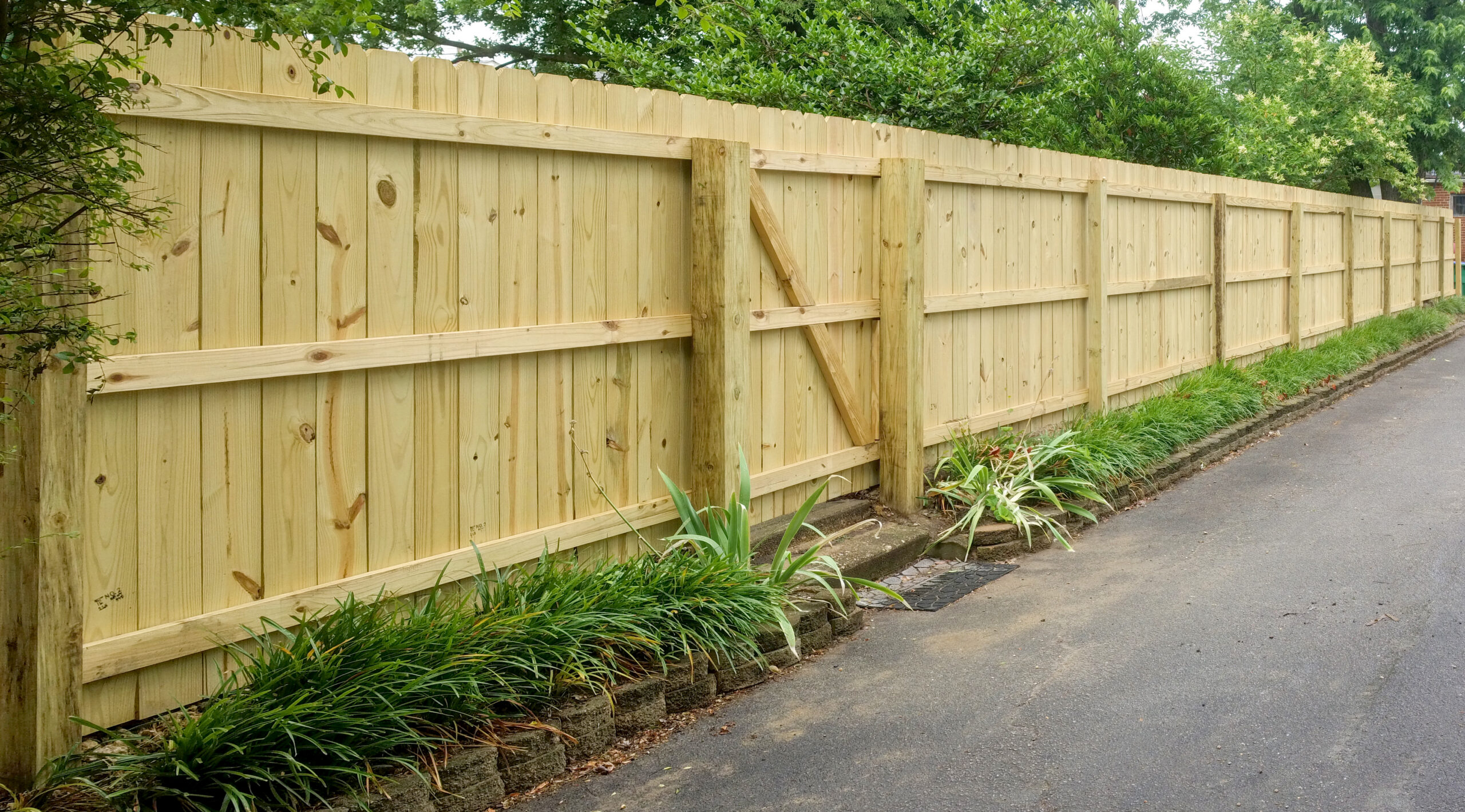 A tall wooden privacy fence runs alongside a paved driveway, with green shrubs and plants growing at its base. Trees and greenery are visible behind the fence under a bright sky.