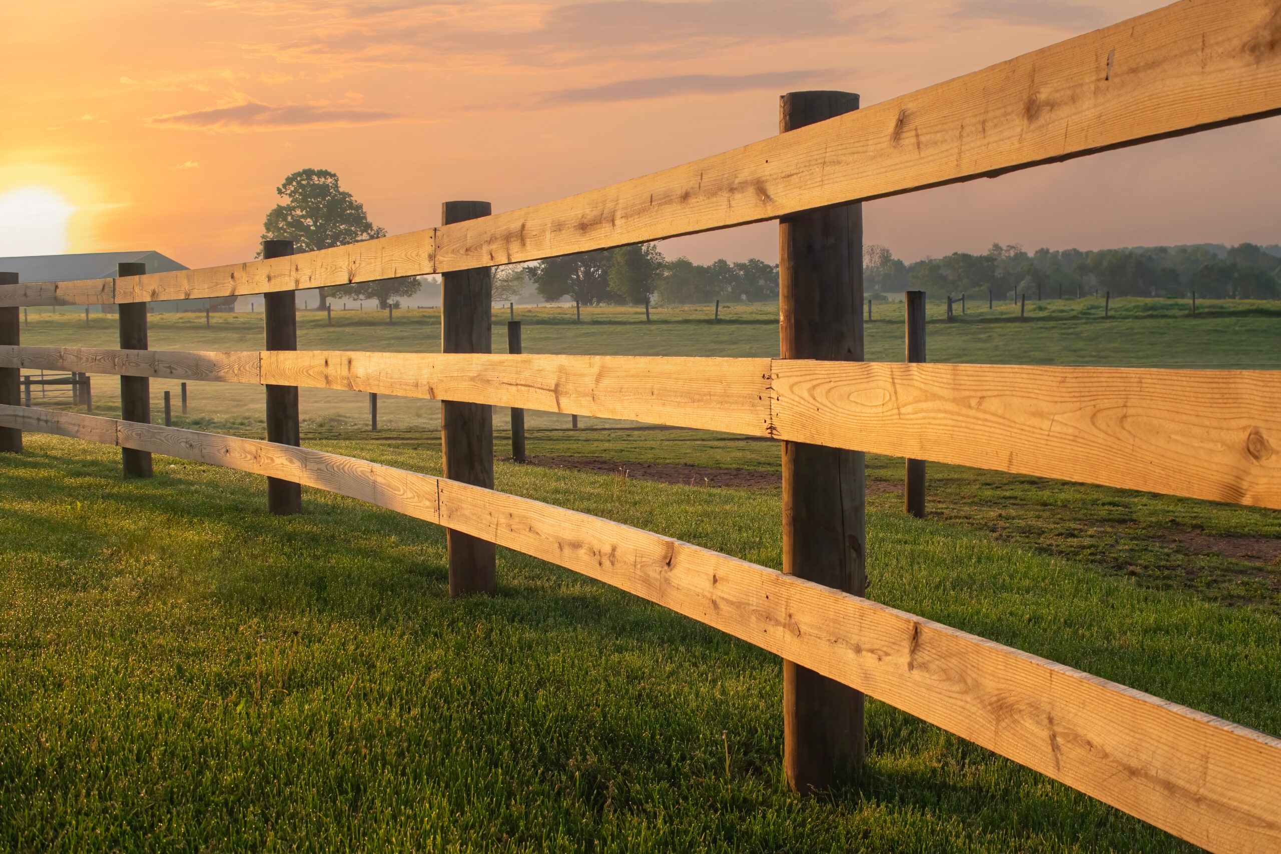 A wooden fence stretches across a green grassy field at sunset, with golden sunlight casting warm tones over the landscape and trees in the distance.