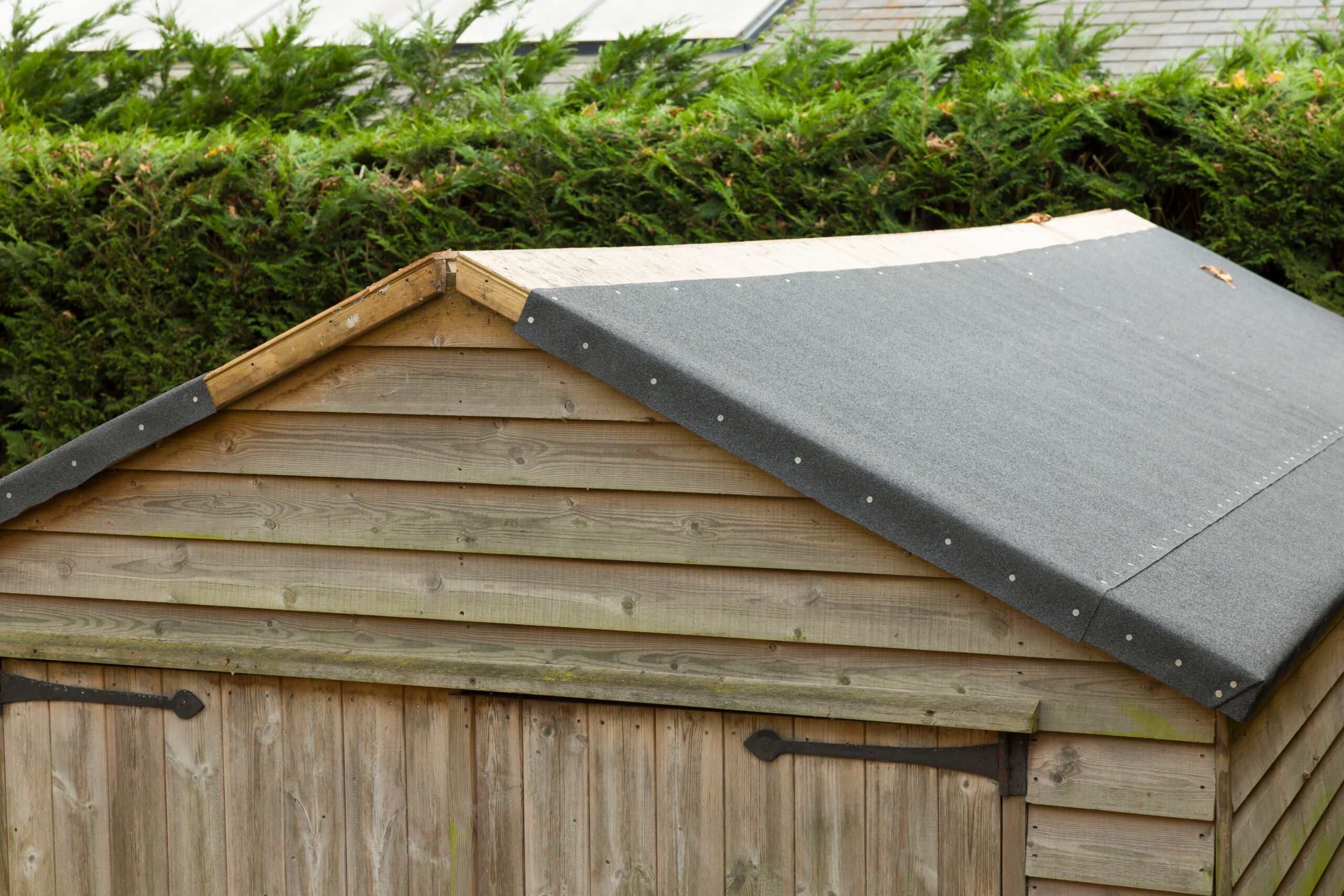 A close-up of the roof of a wooden garden shed with new, black roofing felt partially installed; green hedges and part of a building are visible in the background.